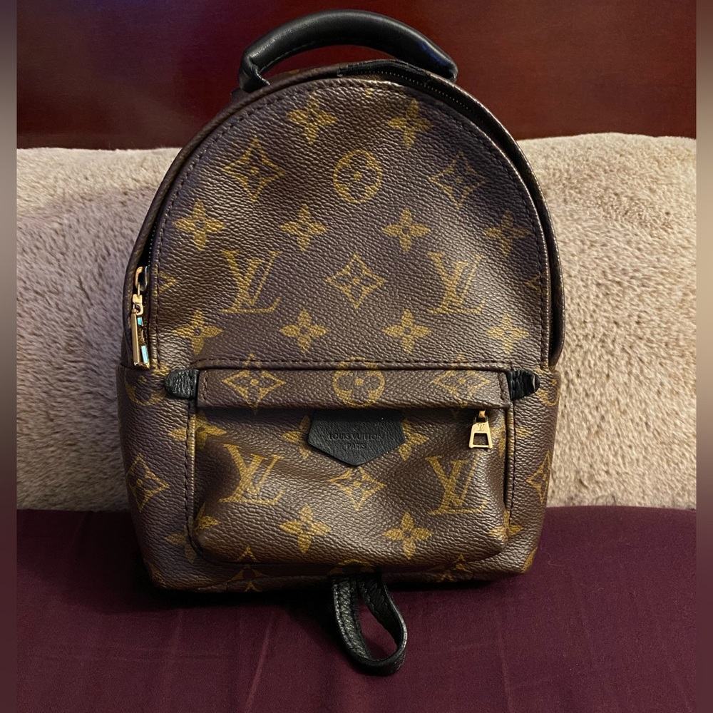 AUTHENTIC Louis Vuitton Palm Springs Mini